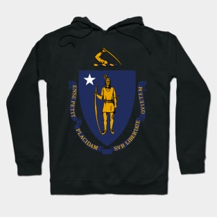 The Commonwealth of Massachusetts Flag Hoodie